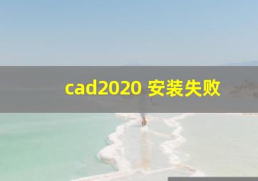 cad2020 安装失败